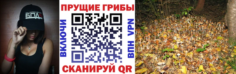 Псилоцибиновые грибы ЛСД  Серафимович 
