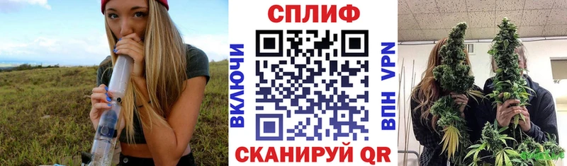 цена   Серафимович  Шишки марихуана план 